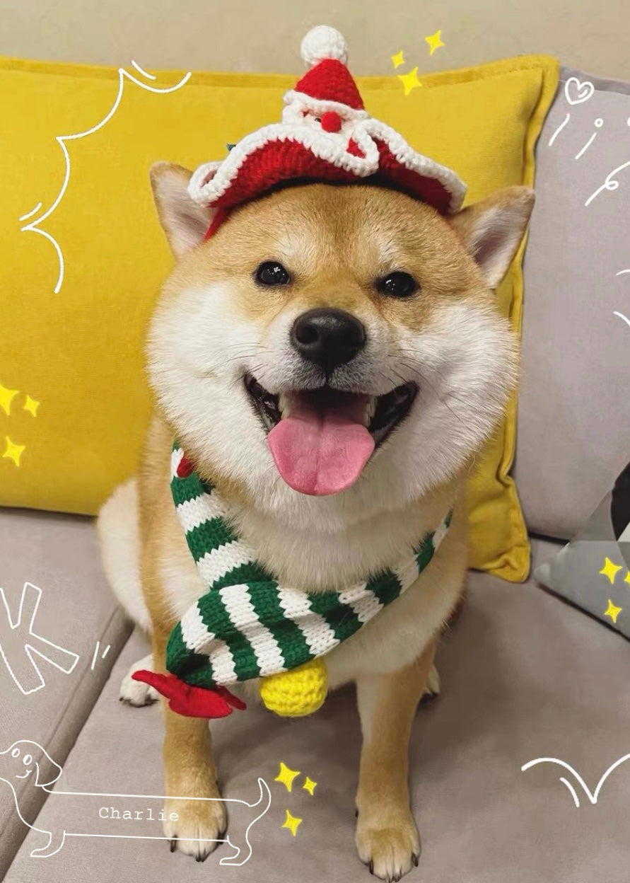 Pit a Pat Handmade Christmas Scarf for Pet