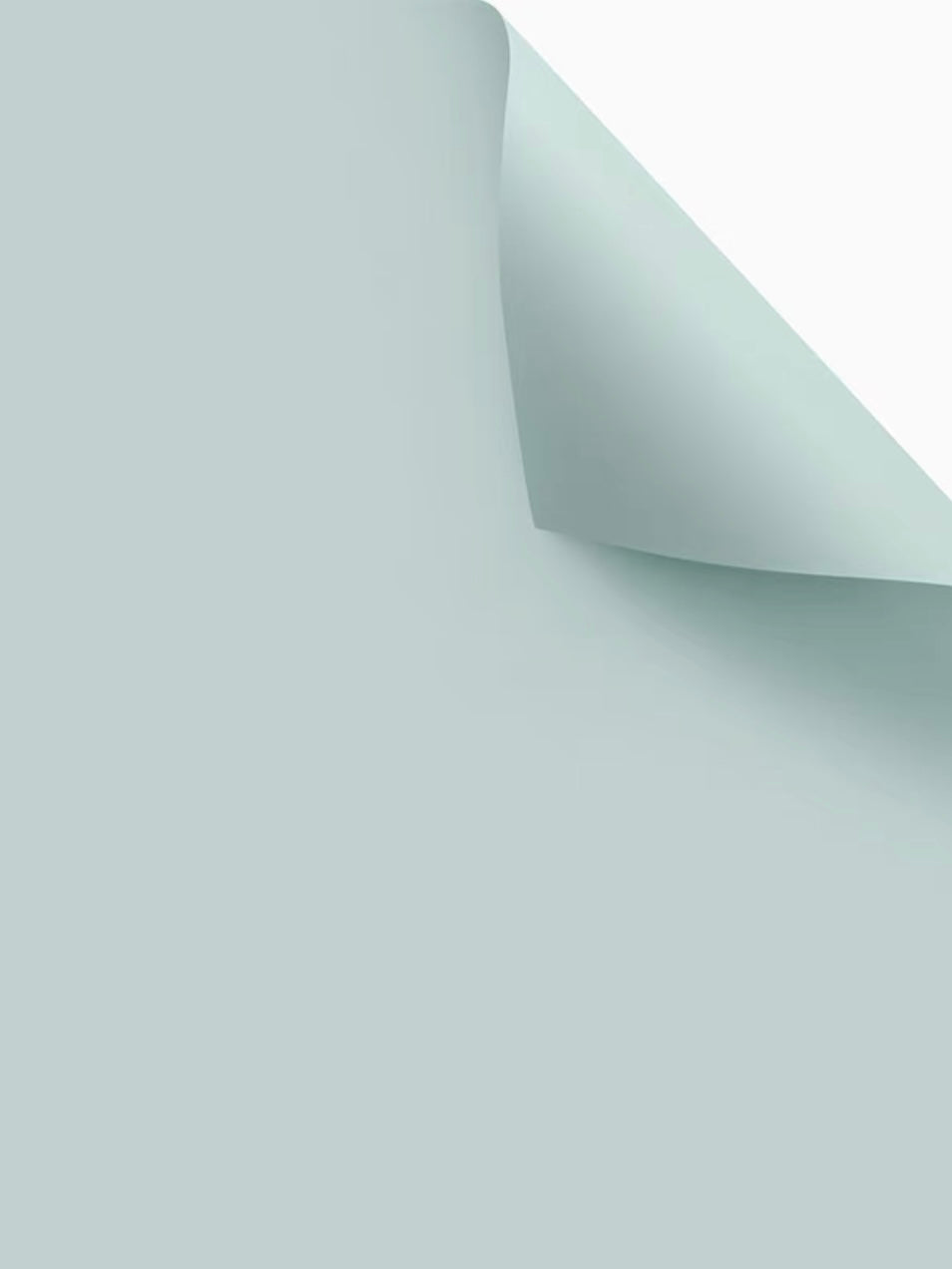 Pit a Pat Wrapping Paper