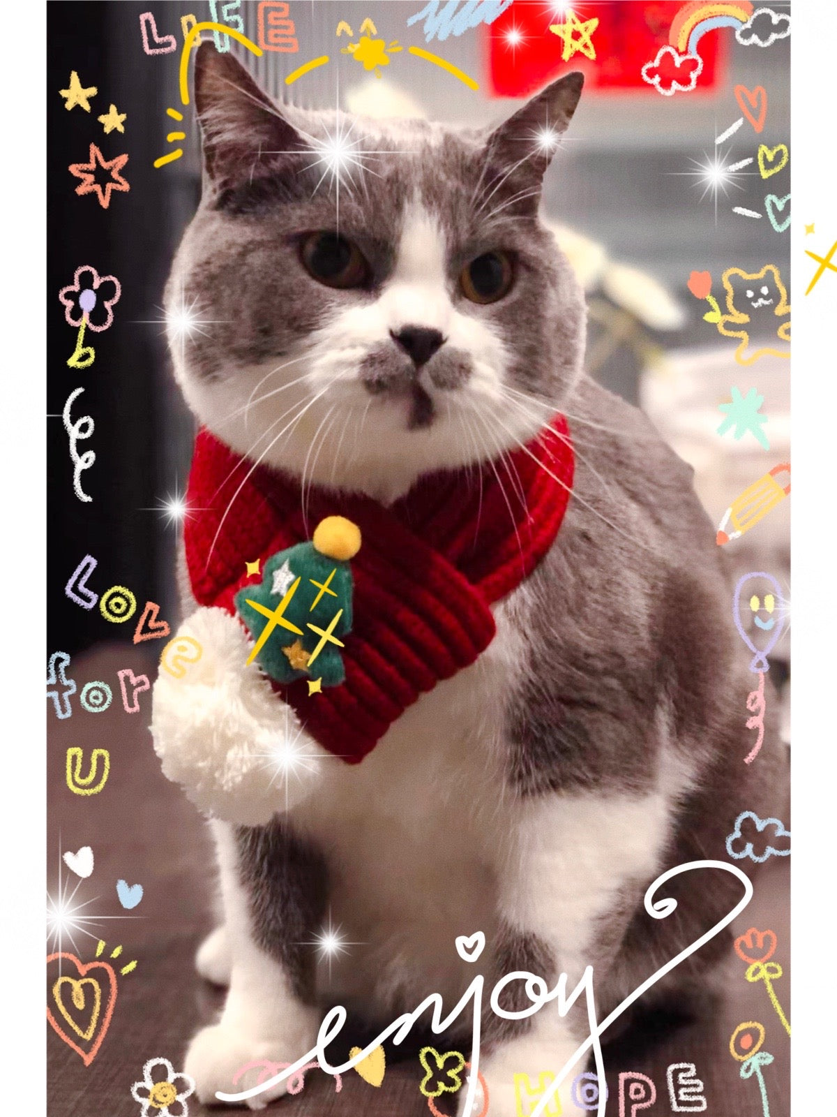 Handmade Christmas Scarf for Pet