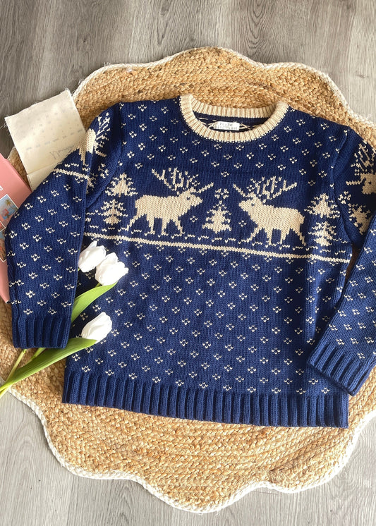 Forest Deer Pullover Oversized Sweater