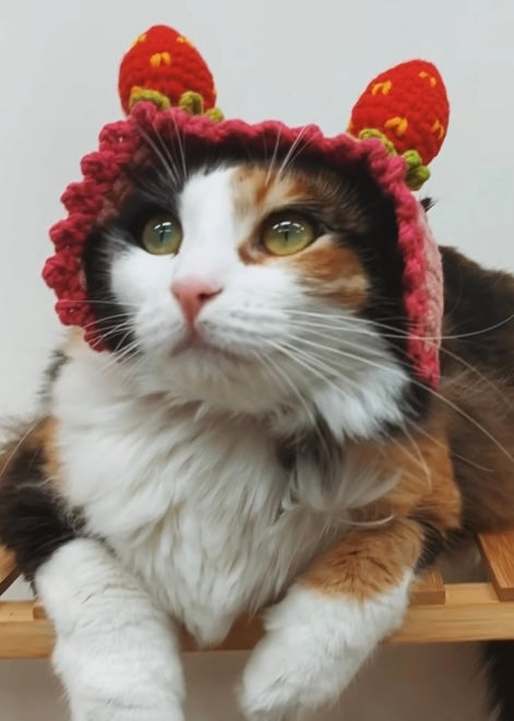 Handmade Strawberry Pet Headband