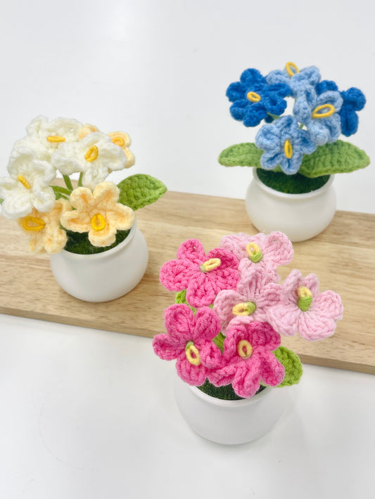 Crochet Forget-me-not Plant