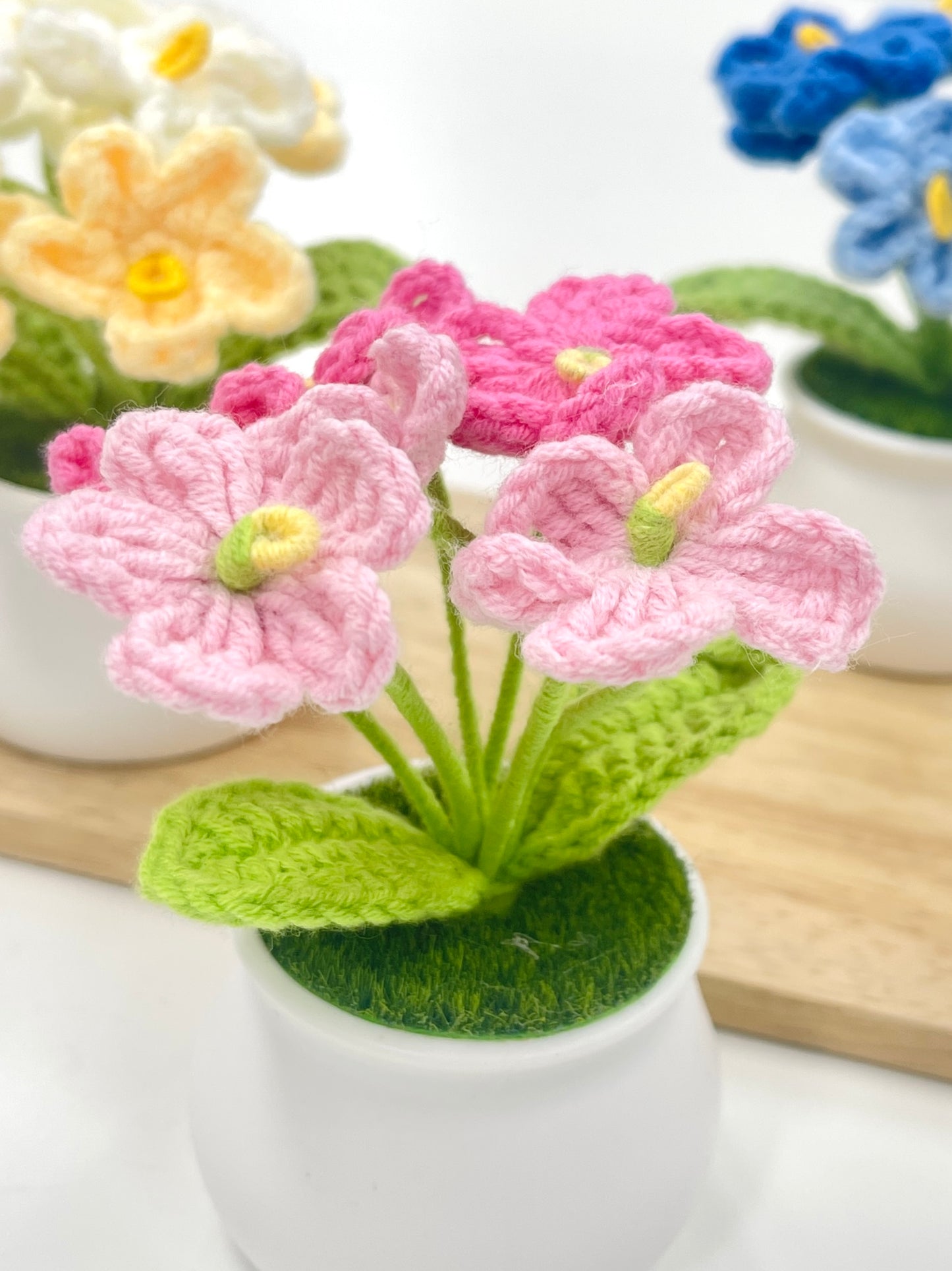 Crochet Forget-me-not Plant