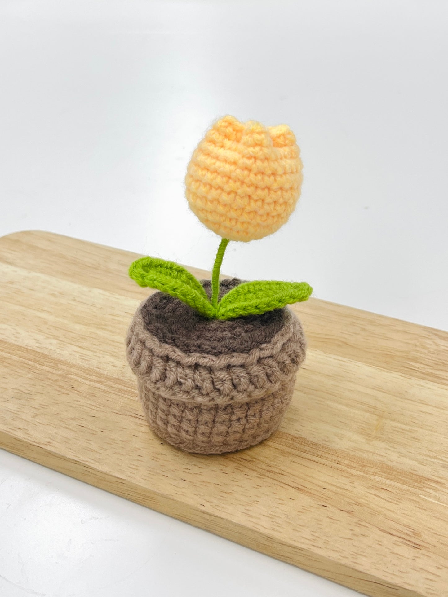 Crochet Tulip Plant