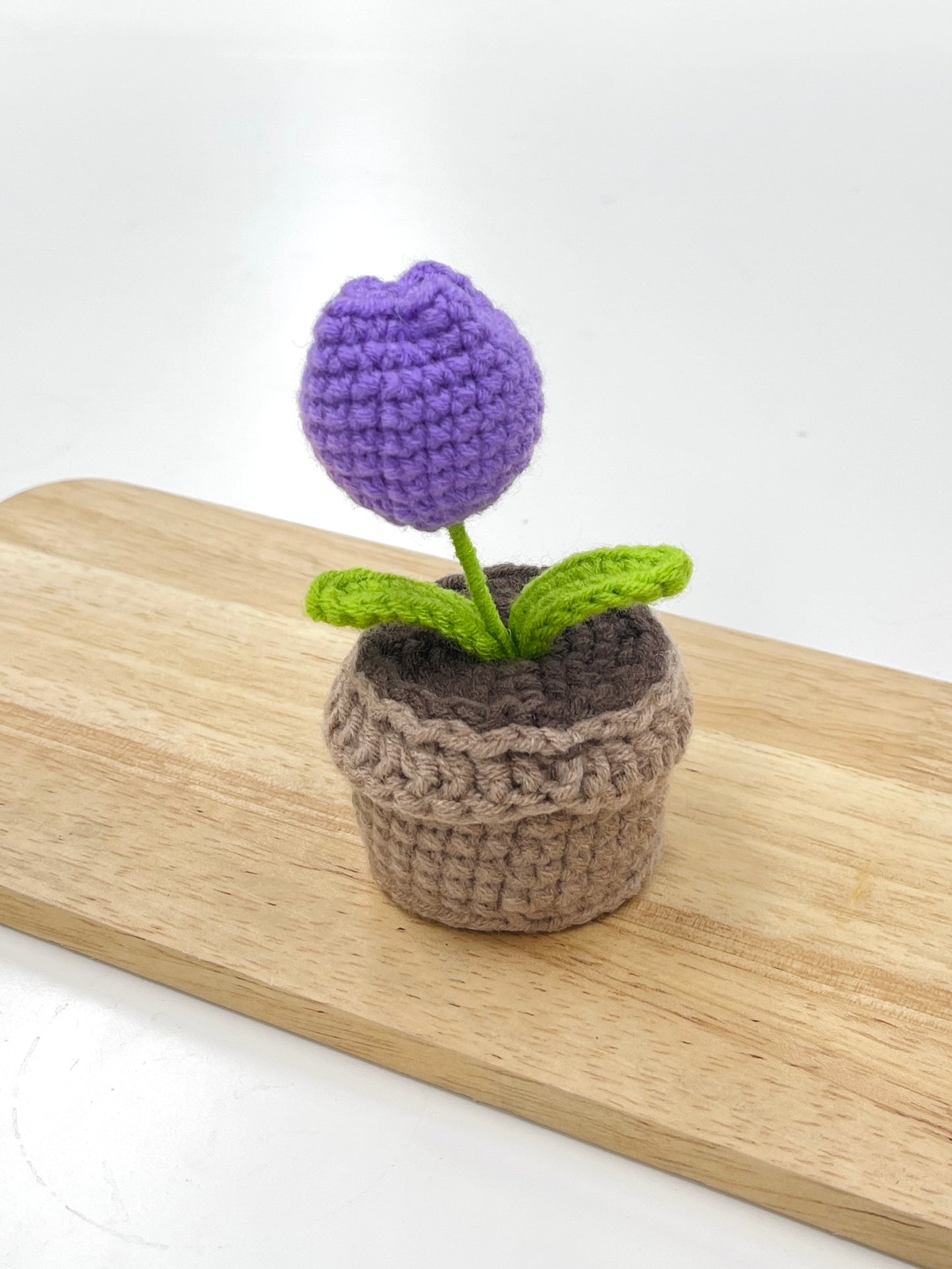 Crochet Tulip Plant