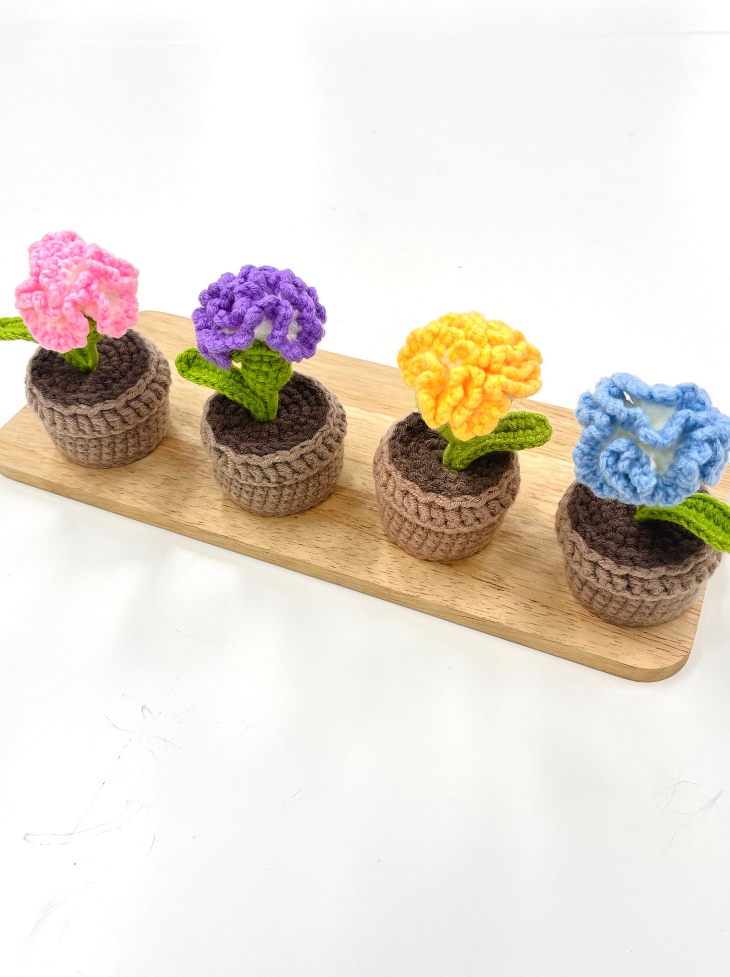 Crochet Carnation Plant