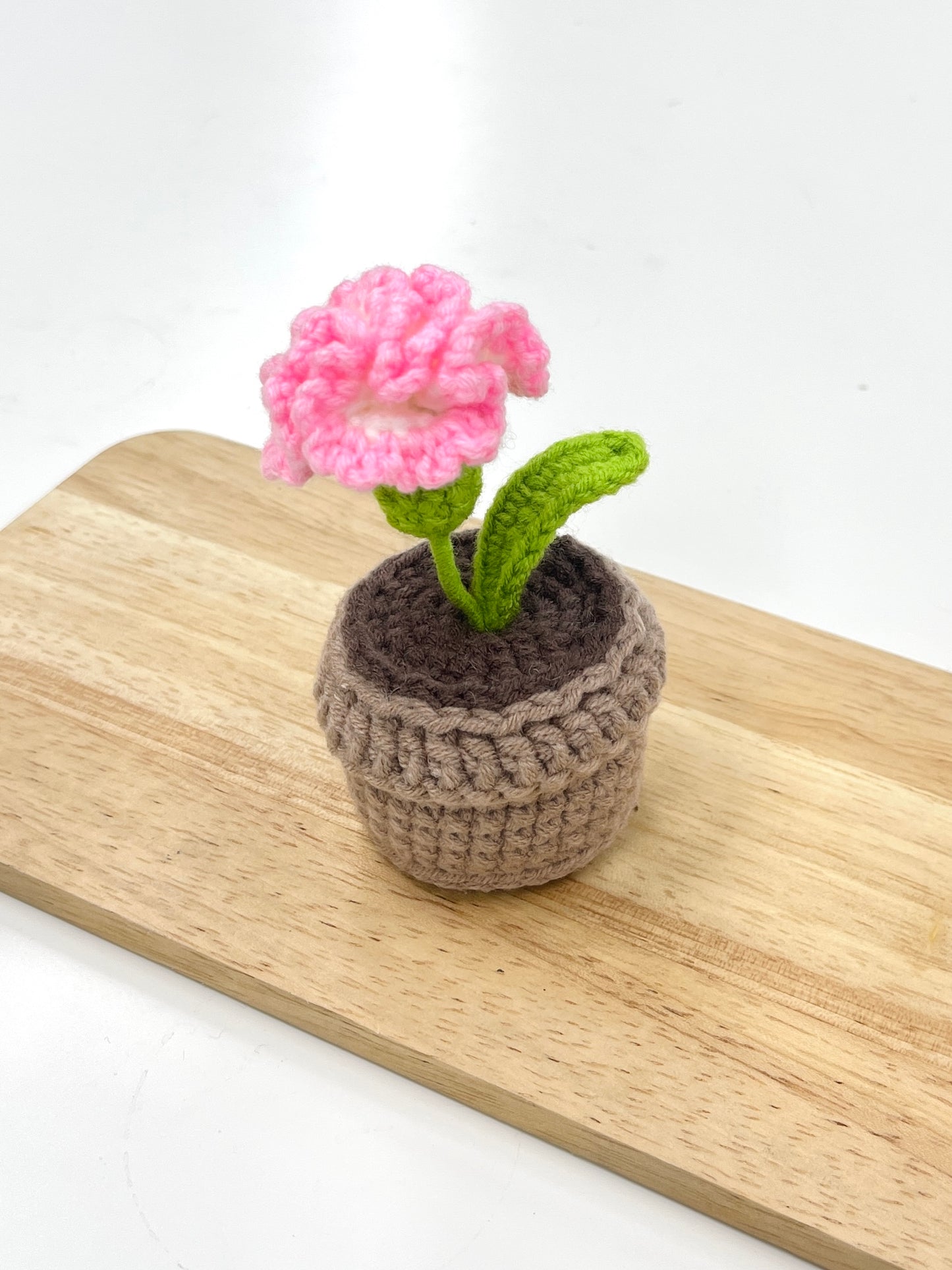 Crochet Carnation Plant