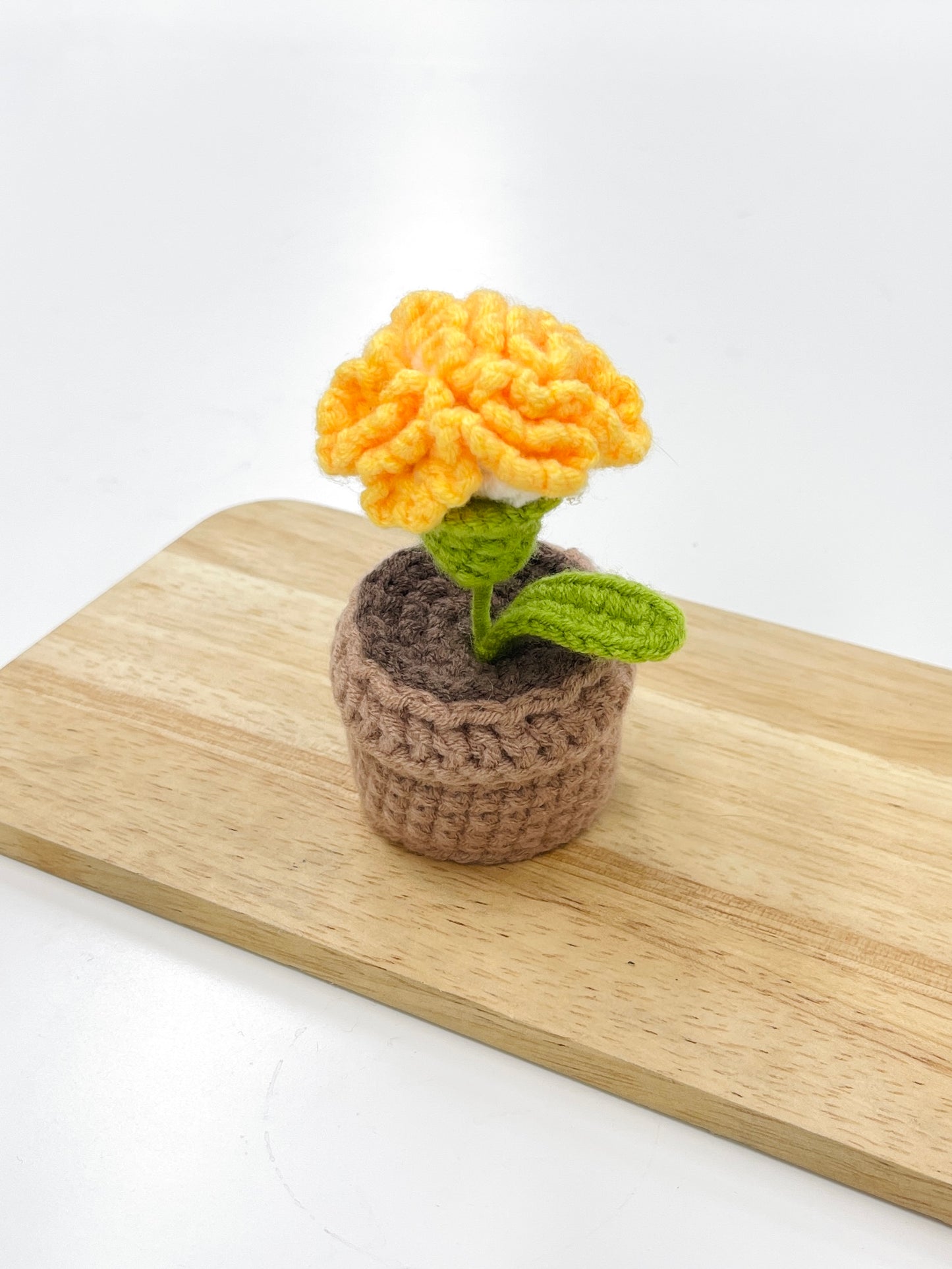 Crochet Carnation Plant