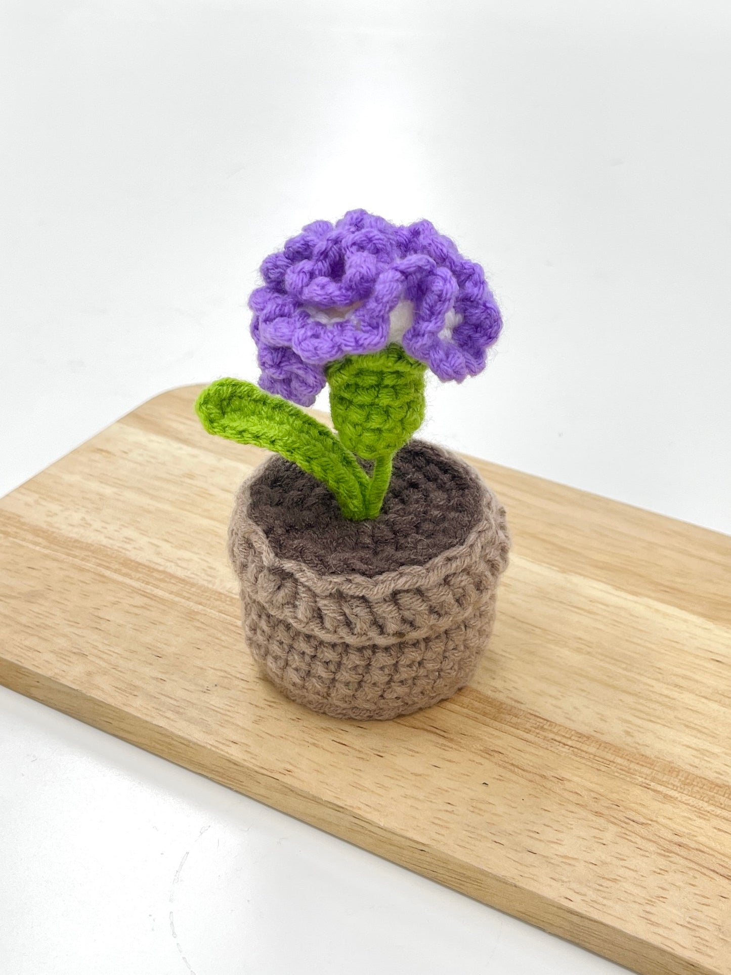 Crochet Carnation Plant